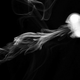 Illustration for article titled Shooting Challenge Smoke Gallery 1